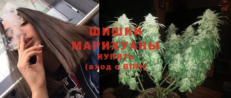 Бошки марихуана White Widow  Ноябрьск 